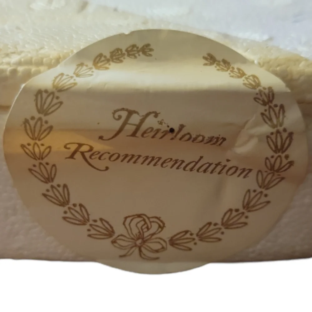 Vtg 1993 Franklin Mint Princess Of Wisdom Heirloom Recommendation Plate Gold Rim